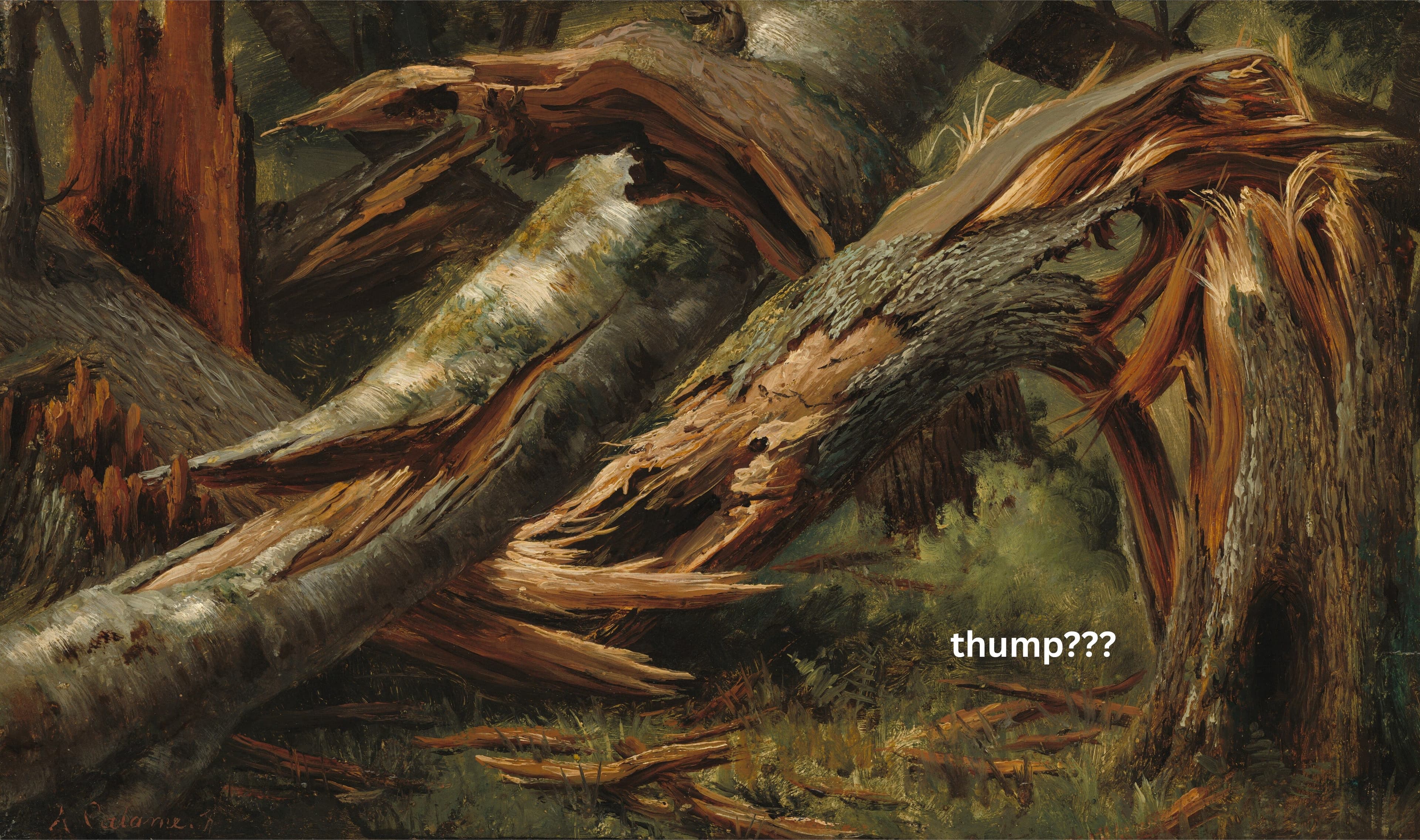 if a tree falls and no one is around, does it make a sound? cover